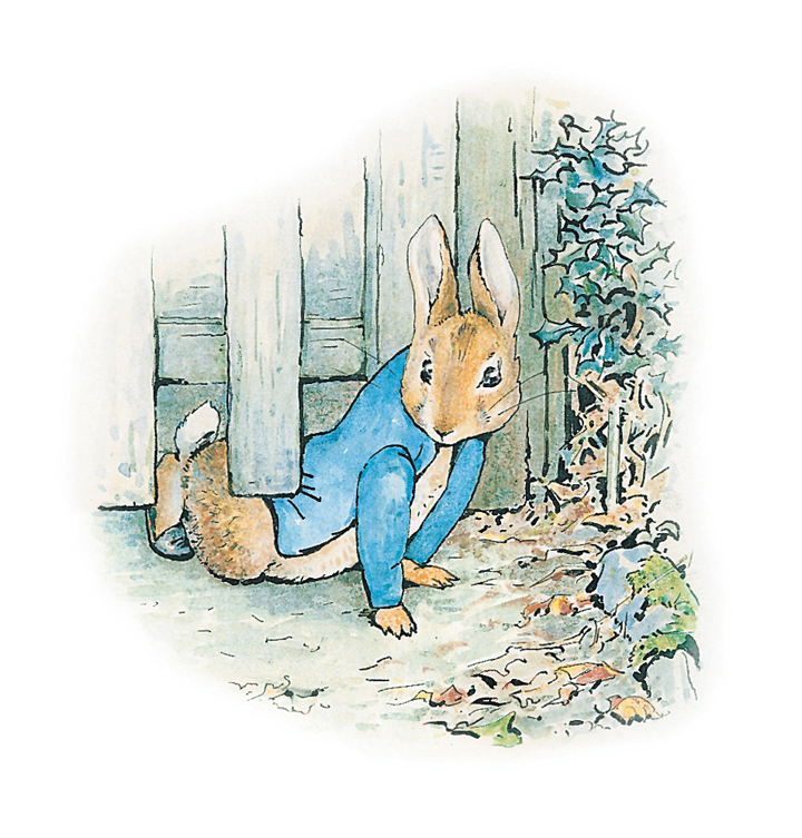 Peter rabbit