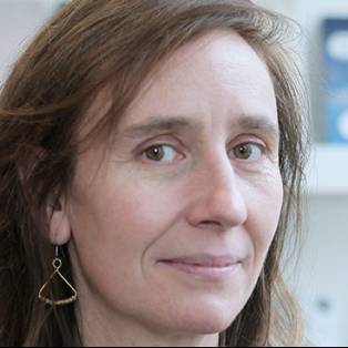 Author / Speaker - Rosalind Porter